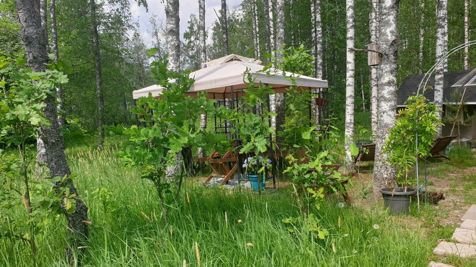 Troll House Eco-Cottage, Nuuksio For Nature Lovers, Petfriendly Espoo Exterior photo